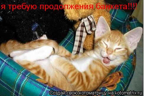 я требую продолжения банкета!!!!... Котоматрица: я требую продолжения банкета!!!!