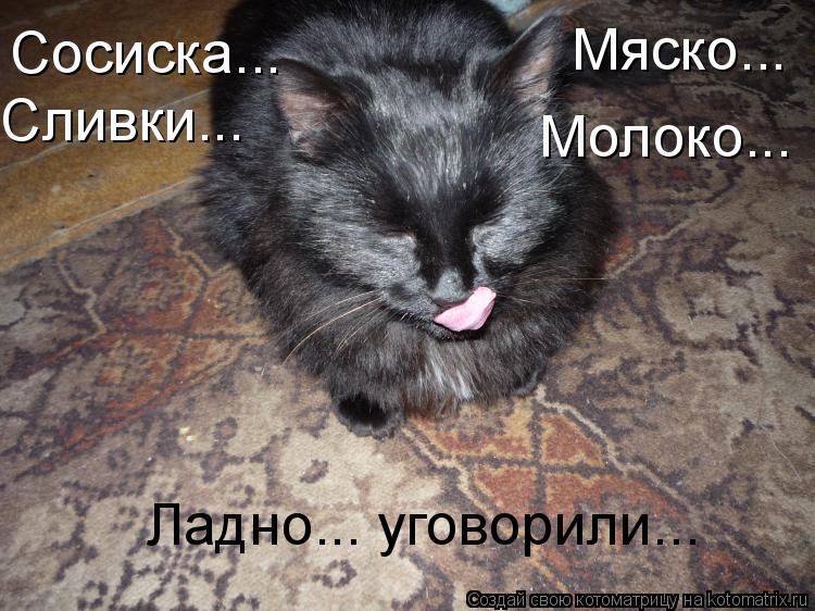 Сосиска... Сливки... Мяско... Молоко... Ладно... уговорили...... Котоматрица: Сосиска... Сливки... Мяско... Молоко... Ладно... уговорили...