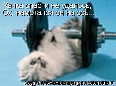Качка спасти не удалось, Ох, намотался он на ось...... Котоматрица: Качка спасти не удалось, Ох, намотался он на ось...