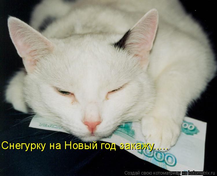 Снегурку на Новый год закажу........ Котоматрица: Снегурку на Новый год закажу.....