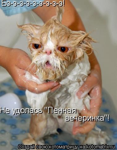 Бз-з-з-з-з-з-з-з-з! Не удолась "Пенная вечеринка"!... Котоматрица: Бз-з-з-з-з-з-з-з-з! Не удолась "Пенная вечеринка"!