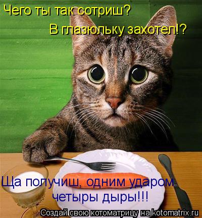 Чего ты так сотриш? В глазюльку захотел!? Ща получиш, одним ударом четыры дыры!!!... Котоматрица: Чего ты так сотриш? В глазюльку захотел!? Ща получиш, одним ударом четыры дыры!!!