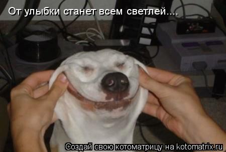 От улыбки станет всем светлей....... Котоматрица: От улыбки станет всем светлей....