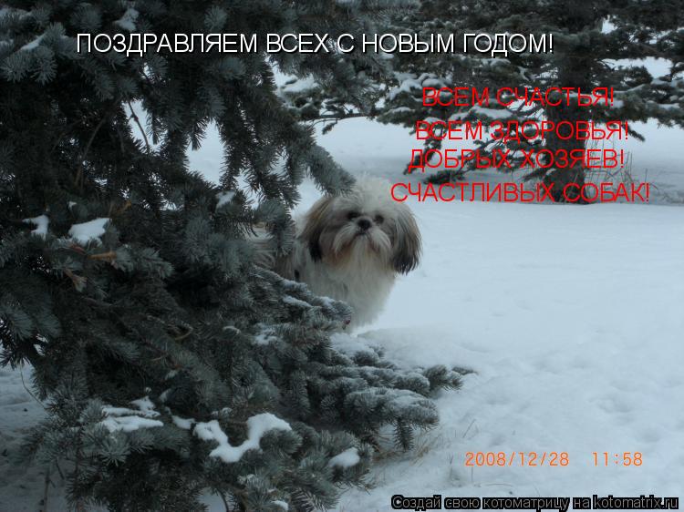 ПОЗДРАВЛЯЕМ ВСЕХ С НОВЫМ ГОДОМ! ВСЕМ СЧАСТЬЯ! ВСЕМ ЗДОРОВЬЯ! ДОБРЫХ ХОЗЯЕВ! СЧАСТЛИВЫХ СОБАК!... Котоматрица: ПОЗДРАВЛЯЕМ ВСЕХ С НОВЫМ ГОДОМ! ВСЕМ СЧАСТЬЯ! ВСЕМ ЗДОРОВЬЯ! ДОБРЫХ ХОЗЯЕВ! СЧАСТЛИВЫХ СОБАК!