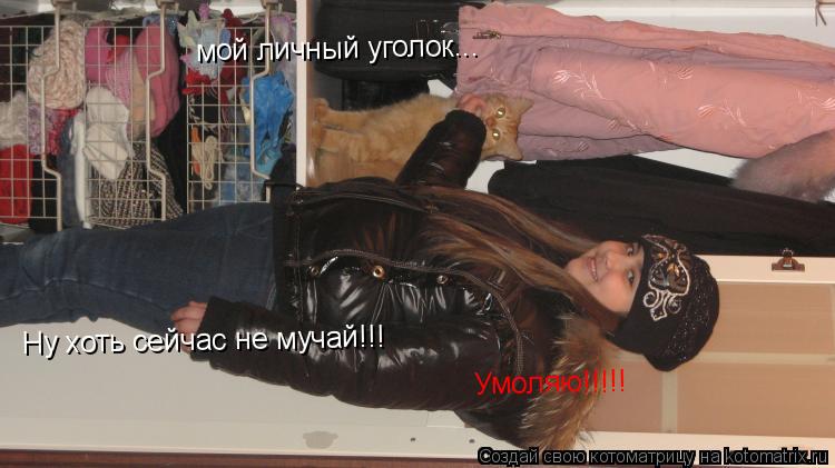 мой личный уголок... Ну хоть сейчас не мучай!!! Умоляю!!!!!... Котоматрица: мой личный уголок... Ну хоть сейчас не мучай!!! Умоляю!!!!!