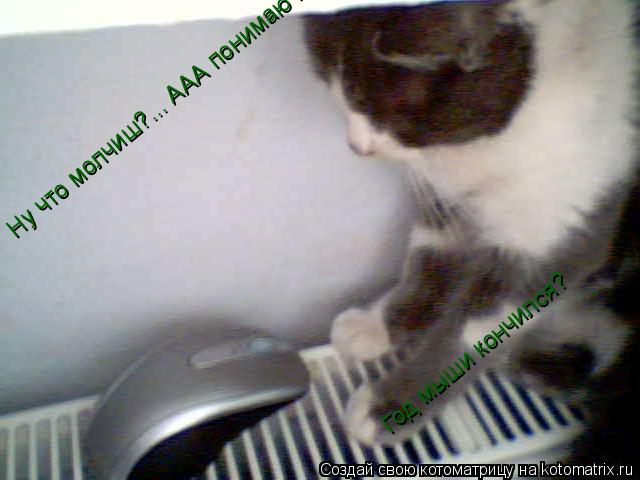 Ну что молчиш?... ААА понимаю год мыши кончился? Год мыши кончился?... Котоматрица: Ну что молчиш?... ААА понимаю год мыши кончился? Год мыши кончился?