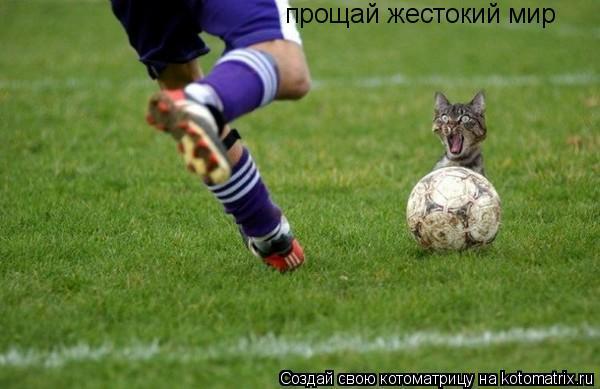 прощай жестокий мир... Котоматрица: прощай жестокий мир