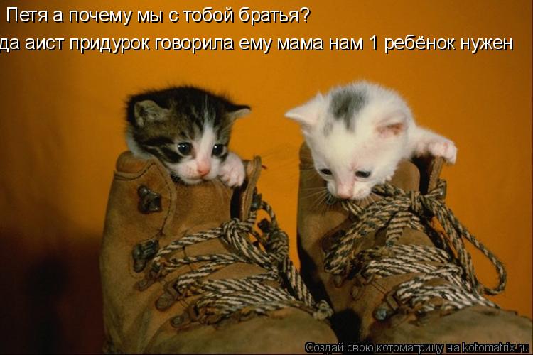 Петя а почему мы с тобой братья? да аист придурок говорила ему мама нам 1 ребёнок нужен... Котоматрица: Петя а почему мы с тобой братья? да аист придурок говорила ему мама нам 1 ребёнок нужен