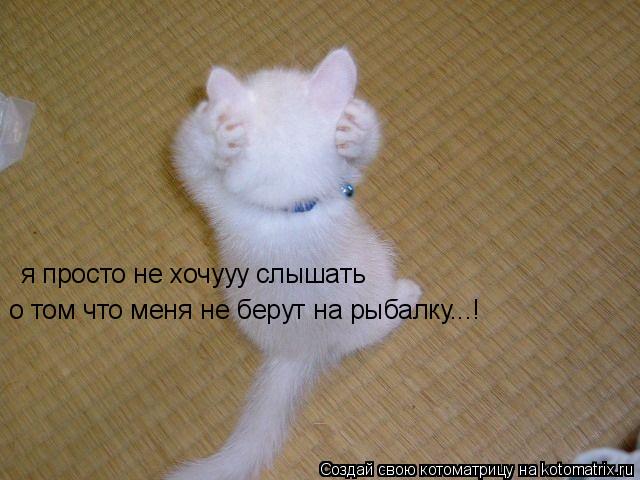 я просто не хочууу слышать о том что меня не берут на рыбалку...!... Котоматрица: я просто не хочууу слышать о том что меня не берут на рыбалку...!