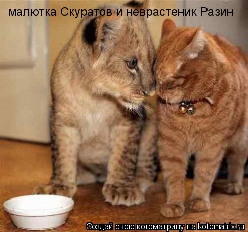 малютка Скуратов и неврастеник Разин... Котоматрица: малютка Скуратов и неврастеник Разин