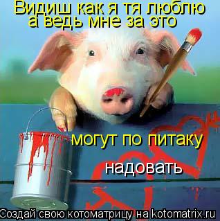 Видиш как я тя люблю а ведь мне за это могут по питаку надовать... Котоматрица: Видиш как я тя люблю а ведь мне за это могут по питаку надовать