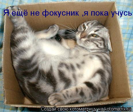 Я ещё не фокусник ,я пока учусь... Котоматрица: Я ещё не фокусник ,я пока учусь