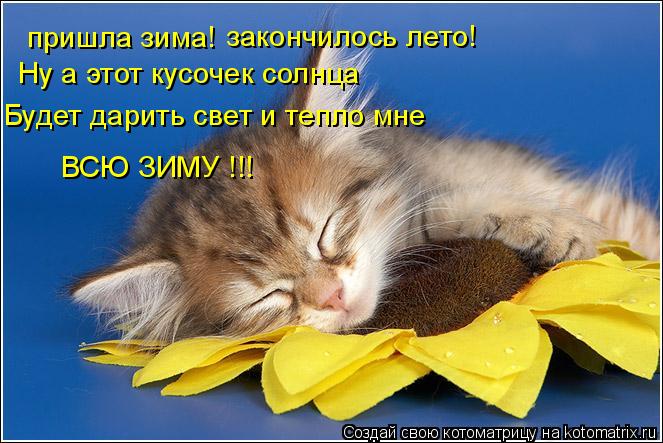 пришла зима! Ну а этот кусочек солнца Будет дарить свет и тепло мне ВСЮ ЗИМУ !!! закончилось лето!... Котоматрица: пришла зима! Ну а этот кусочек солнца Будет дарить свет и тепло мне ВСЮ ЗИМУ !!! закончилось лето!