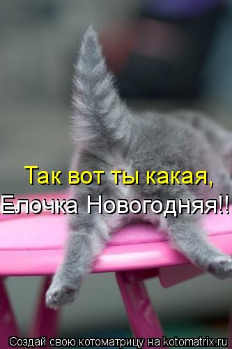 Так вот ты какая, Елочка Новогодняя!!! Елочка Новогодняя!!!... Котоматрица: Так вот ты какая, Елочка Новогодняя!!! Елочка Новогодняя!!!