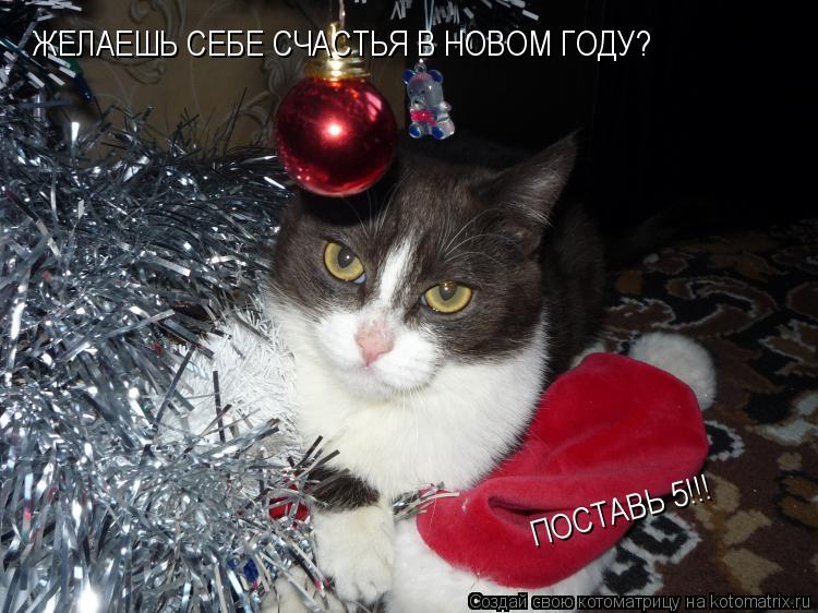 ЖЕЛАЕШЬ СЕБЕ СЧАСТЬЯ В НОВОМ ГОДУ? ПОСТАВЬ 5!!!... Котоматрица: ЖЕЛАЕШЬ СЕБЕ СЧАСТЬЯ В НОВОМ ГОДУ? ПОСТАВЬ 5!!!