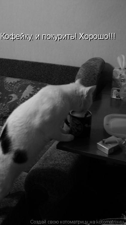 Кофейку, и покурить! Хорошо!!!... Котоматрица: Кофейку, и покурить! Хорошо!!!