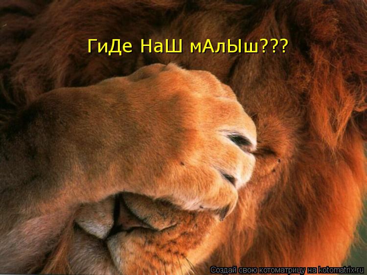 ГиДе НаШ мАлЫш???... Котоматрица: ГиДе НаШ мАлЫш???