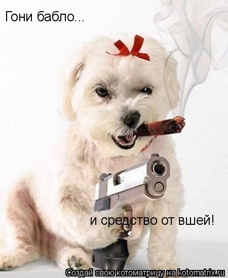 Гони бабло... и средство от вшей!... Котоматрица: Гони бабло... и средство от вшей!