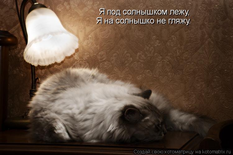 Я под солнышком лежу, Я на солнышко не гляжу.... Котоматрица: Я под солнышком лежу, Я на солнышко не гляжу.