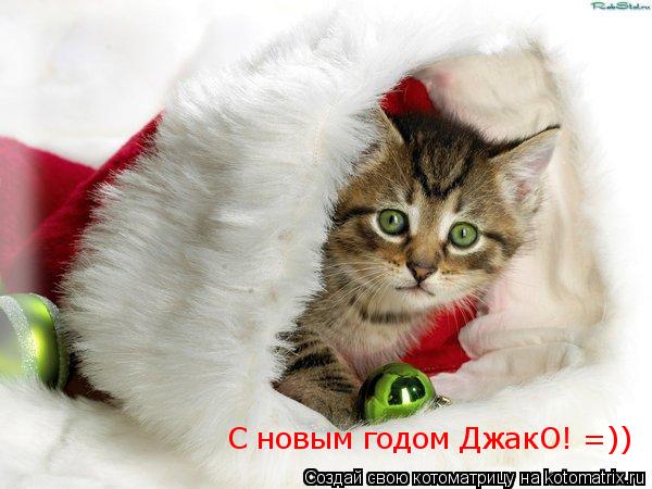 С новым годом ДжакО! =))... Котоматрица: С новым годом ДжакО! =))