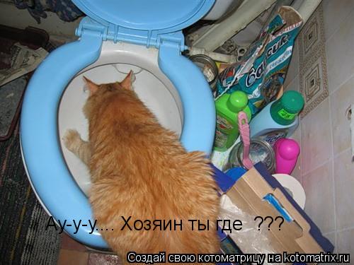 Ау-у-у.... Хозяин ты где ???... Котоматрица: Ау-у-у.... Хозяин ты где ???