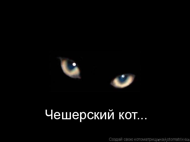 Чешерский кот...... Котоматрица: Чешерский кот...