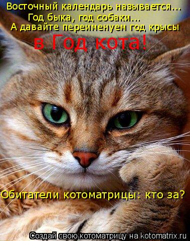 Восточный календарь называется... Год быка, год собаки... А давайте переименуем год крысы в Год кота!... Котоматрица: Восточный календарь называется... Год быка, год собаки... А давайте переименуем год крысы в Год кота! Обитатели котоматрицы: кто за?