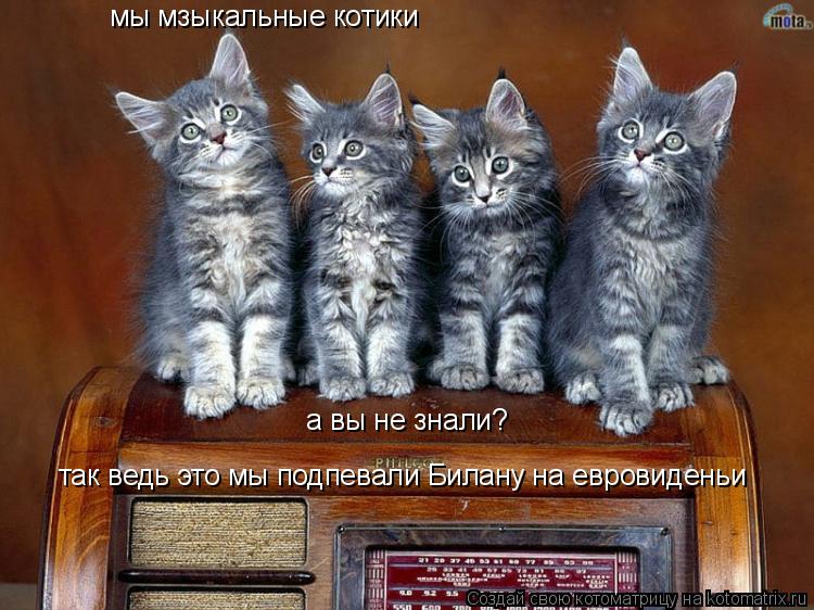 мы мзыкальные котики а вы не знали? так ведь это мы подпевали Билану на евровиденьи... Котоматрица: мы мзыкальные котики а вы не знали? так ведь это мы подпевали Билану на евровиденьи