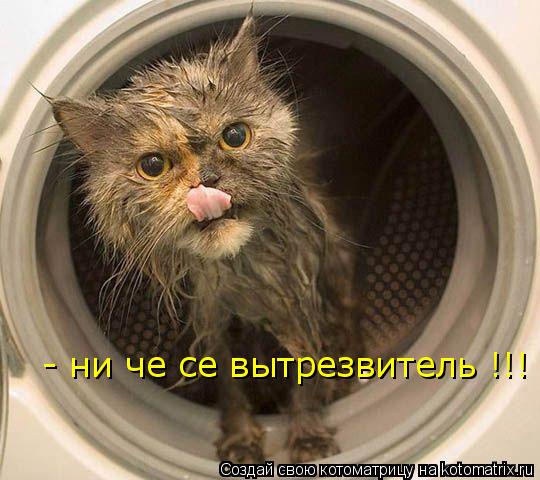 - ни че се вытрезвитель !!!... Котоматрица: - ни че се вытрезвитель !!!
