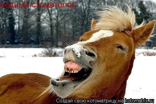 бедный стоматолог!... Котоматрица: бедный стоматолог!