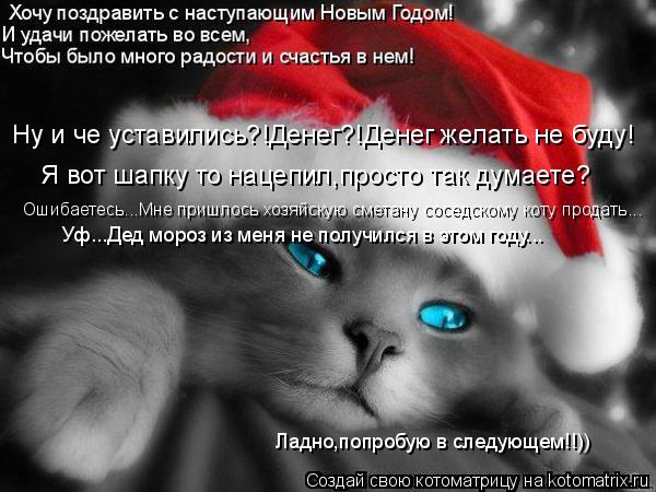 Ну и че уставились?!Денег?!Денег желать не буду! Я вот шапку то нацепил,просто так думаете? Ошибаетес... Котоматрица: Ну и че уставились?!Денег?!Денег желать не буду! Я вот шапку то нацепил,просто так думаете? Ошибаетесь...Мне пришлось хозяйскую сметану сосед