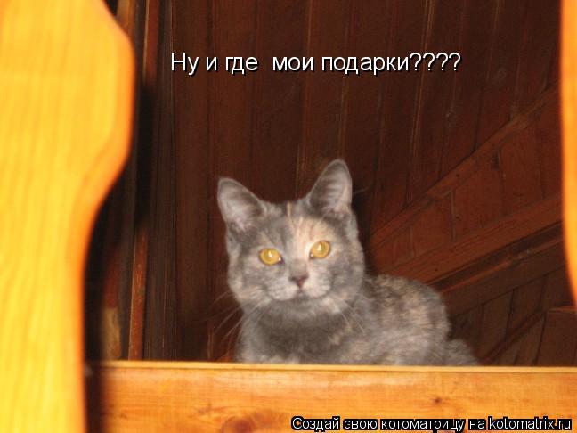 Ну и где мои подарки????... Котоматрица: Ну и где мои подарки????