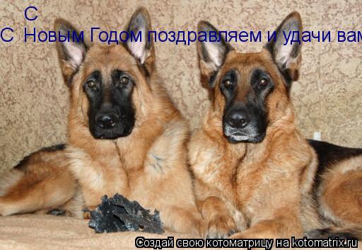 С С Новым Годом поздравляем и удачи вам желаем... Котоматрица: С С Новым Годом поздравляем и удачи вам желаем