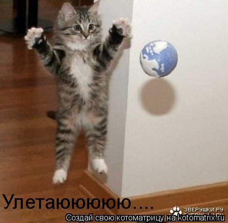 Улетаююююю....... Котоматрица: Улетаююююю....