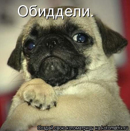 Обиддели.... Котоматрица: Обиддели.