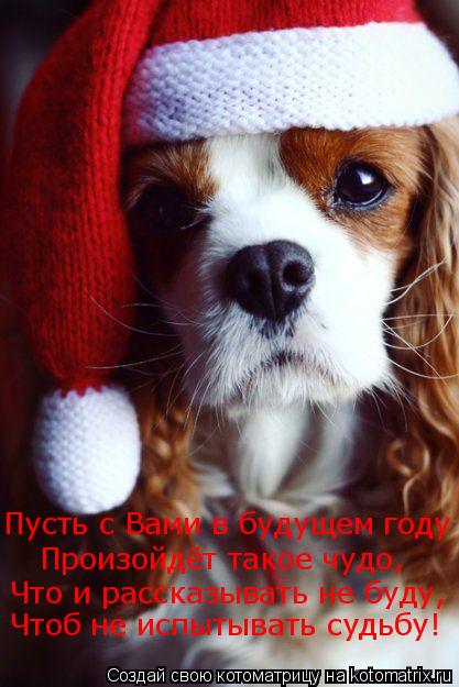 Пусть с Вами в будущем году Произойдёт такое чудо, Что и рассказывать не буду, Чтоб не испытывать суд... Котоматрица: Пусть с Вами в будущем году Произойдёт такое чудо, Что и рассказывать не буду, Чтоб не испытывать судьбу!
