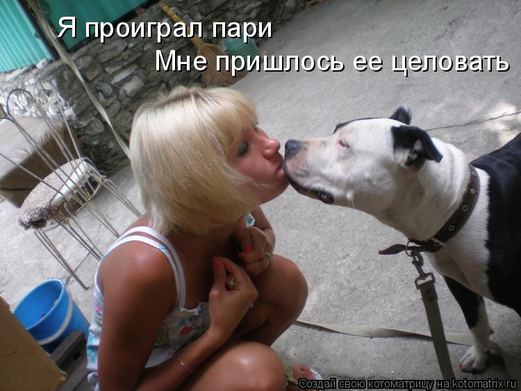 Я проиграл пари Мне пришлось ее целовать... Котоматрица: Я проиграл пари Мне пришлось ее целовать