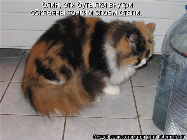 блин, эти бутылки внутри обклеяны тонким слоем стали.... Котоматрица: блин, эти бутылки внутри обклеяны тонким слоем стали.