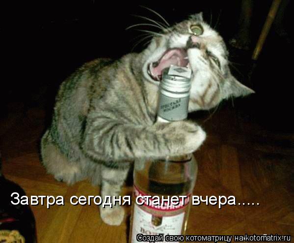 Завтра сегодня станет вчера........ Котоматрица: Завтра сегодня станет вчера.....