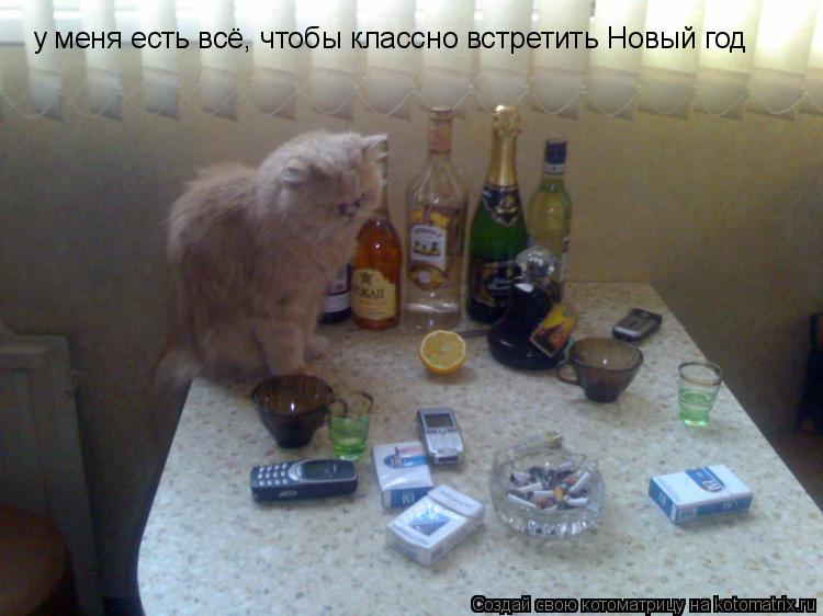 у меня есть всё, чтобы классно встретить Новый год... Котоматрица: у меня есть всё, чтобы классно встретить Новый год