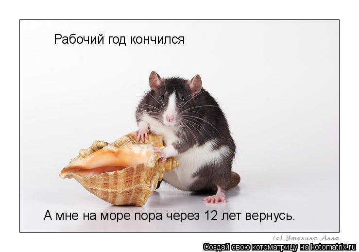 Рабочий год конче Рабочий год конче Рабочий год кончился А мне на море пора через 12 лет вернусь. А м... Котоматрица: Рабочий год конче Рабочий год конче Рабочий год кончился А мне на море пора через 12 лет вернусь. А мне на море пора через 12 лет вернусь.