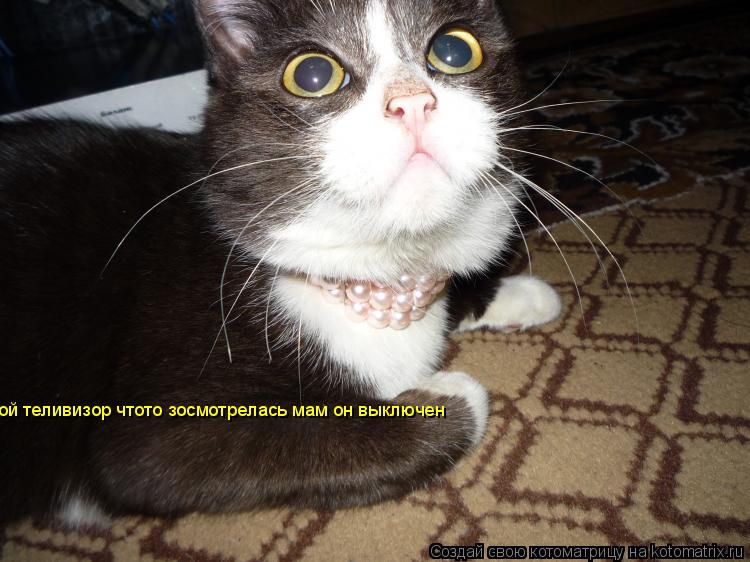 ой теливизор чтото зосмотрелась мам он выключен... Котоматрица: ой теливизор чтото зосмотрелась мам он выключен