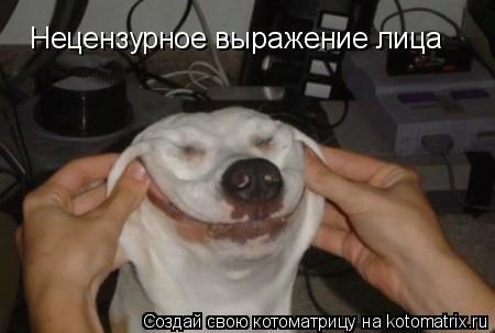 Нецензурное выражение лица... Котоматрица: Нецензурное выражение лица