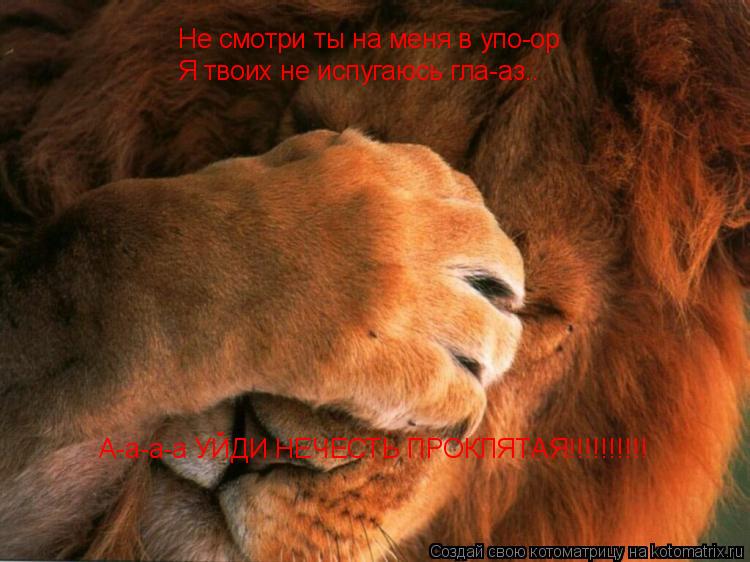 Не смотри ты на меня в упо-ор Я твоих не испугаюсь гла-аз.. А-а-а-а УЙДИ НЕЧЕСТЬ ПРОКЛЯТАЯ!!!!!!!!!!... Котоматрица: Не смотри ты на меня в упо-ор Я твоих не испугаюсь гла-аз.. А-а-а-а УЙДИ НЕЧЕСТЬ ПРОКЛЯТАЯ!!!!!!!!!!