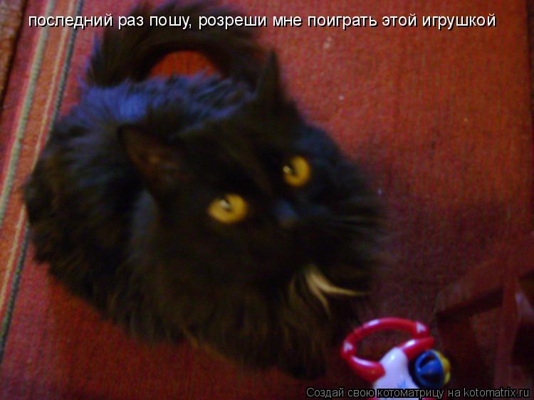 последний раз пошу, розреши мне поиграть этой игрушкой... Котоматрица: последний раз пошу, розреши мне поиграть этой игрушкой