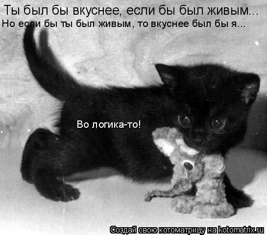 Ты был бы вкуснее, если бы был живым... Но если бы ты был живым, то вкуснее был бы я... Во логика-то!... Котоматрица: Ты был бы вкуснее, если бы был живым... Но если бы ты был живым, то вкуснее был бы я... Во логика-то!
