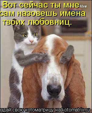 Вот сейчас ты мне сам назовешь имена твоих любовниц.... Котоматрица: Вот сейчас ты мне сам назовешь имена твоих любовниц.