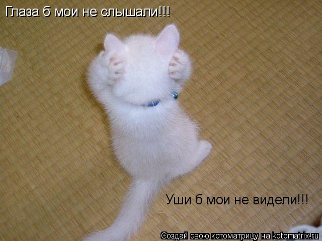 Глаза б мои не слышали!!! Уши б мои не видели!!!... Котоматрица: Глаза б мои не слышали!!! Уши б мои не видели!!!