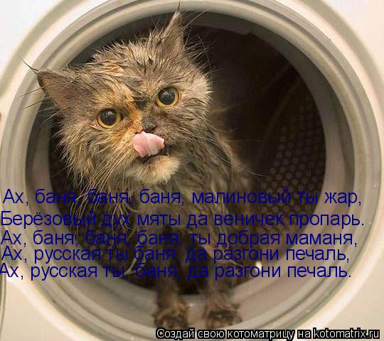 Ах, баня, баня, баня, малиновый ты жар, Берёзовый дух мяты да веничек пропарь. Ах, баня, баня, баня... Котоматрица: Ах, баня, баня, баня, малиновый ты жар, Берёзовый дух мяты да веничек пропарь. Ах, баня, баня, баня, ты добрая маманя, Ах, русcкая ты баня, да ра