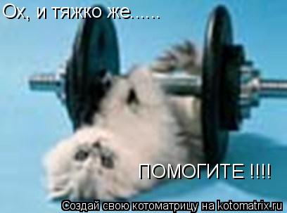 Ох, и тяжко же...... ПОМОГИТЕ !!!!... Котоматрица: Ох, и тяжко же...... ПОМОГИТЕ !!!!